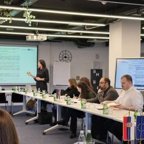 Workshop in Belgrade Explores Enhancements in Career Guidance and Counselling Standards